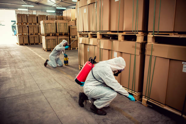 Best Pest Control Near Me in Greenfield, IN