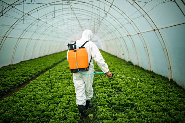 Best Affordable Pest Control Services  in Greenfield, IN